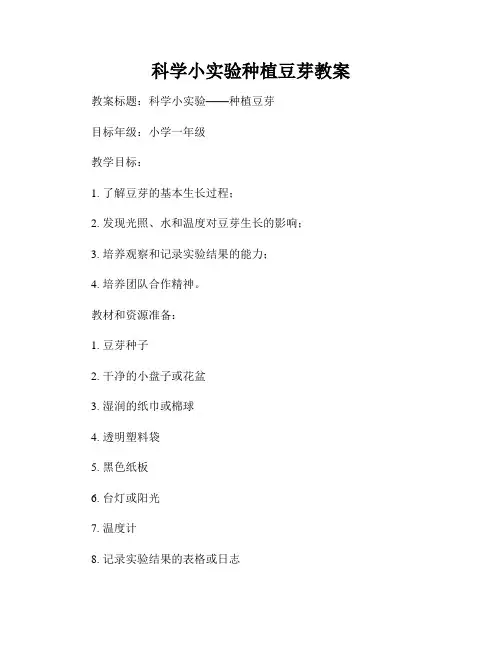 科学小实验种植豆芽教案