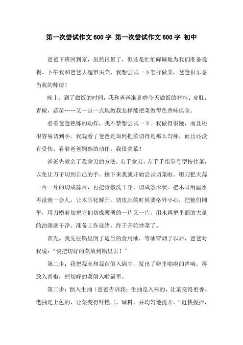 第一次尝试作文600字 第一次尝试作文600字 初中精选
