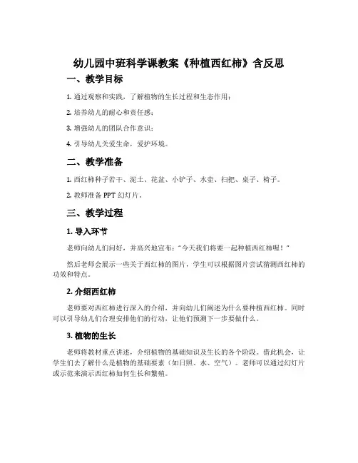 幼儿园中班科学课教案《种植西红柿》含反思