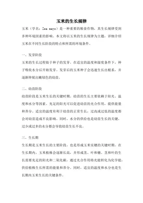 玉米的生长规律