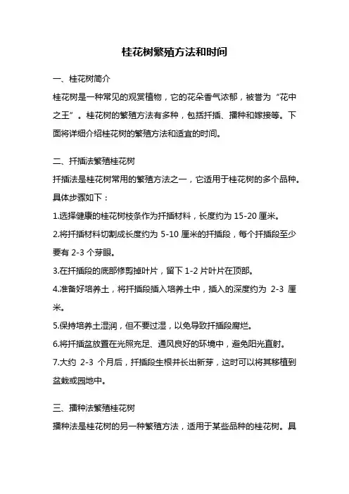 桂花树繁殖方法和时间