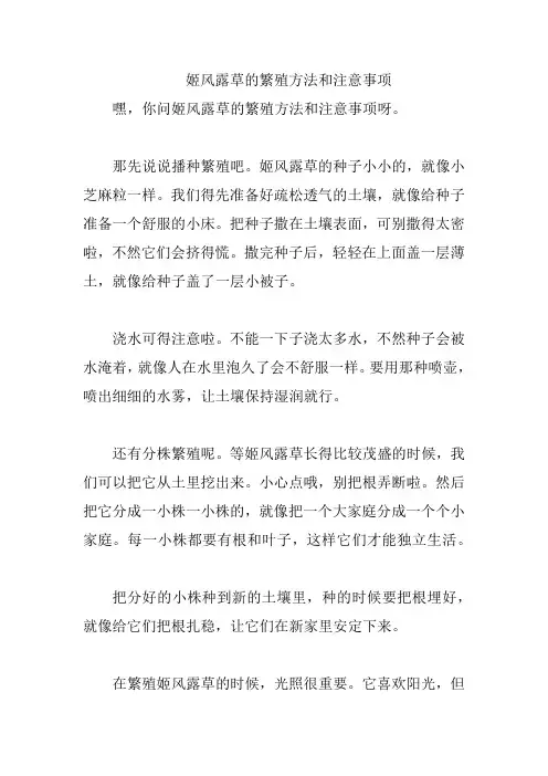 姬风露草的繁殖方法和注意事项