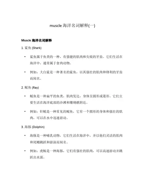 muscle 海洋名词解释(一)