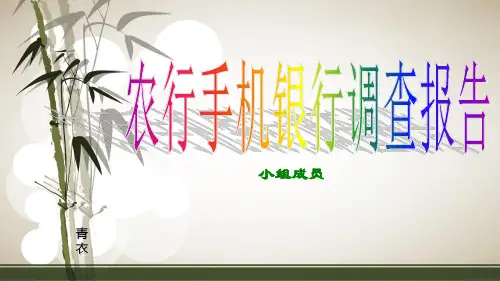 农行手机银行调查报告