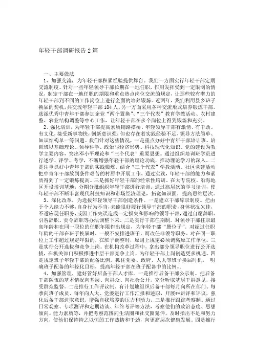 年轻干部调研报告2篇精选