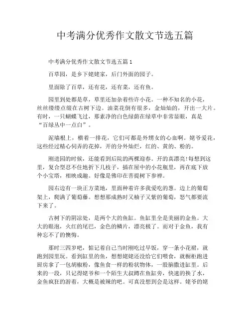中考满分优秀作文散文节选五篇