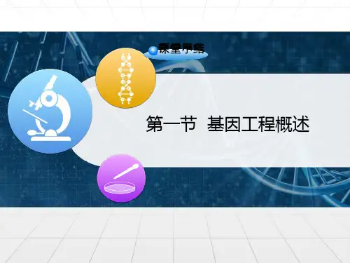 高中生物 第一章 基因工程 1.1 基因工程概述课件 苏教版选修3