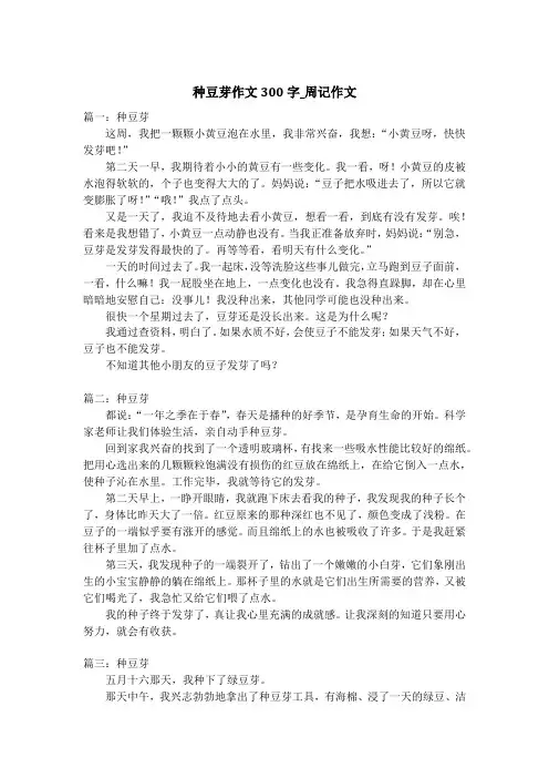 种豆芽作文300字_周记作文