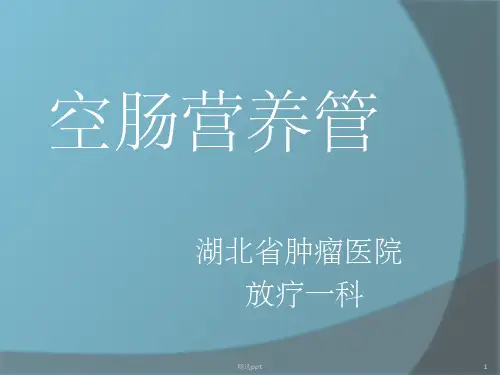 空肠营养管