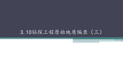 水文地质勘查：钻探工程原始地质编录(三)