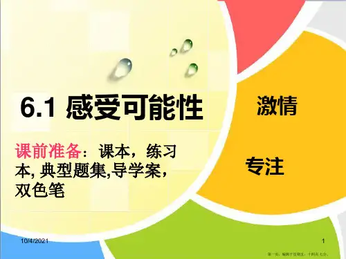 感受可能性ppt资料