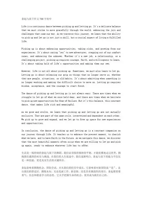 拿起与放下作文700字初中