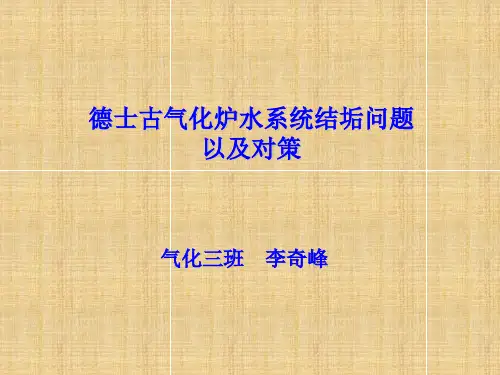 德士古气化炉水系统结垢问题以及对策(李奇峰)