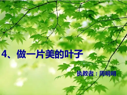 三年级语文做一片美的叶子