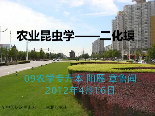 农业昆虫学——二化螟