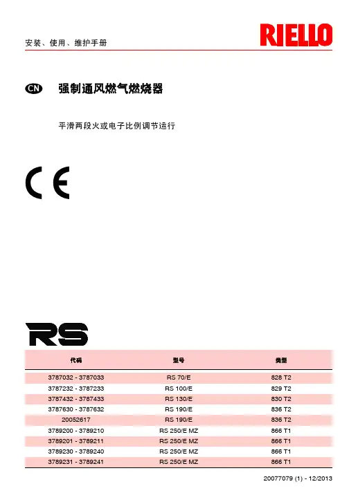 RS 70 250 E 20077079利雅路燃烧器说明书