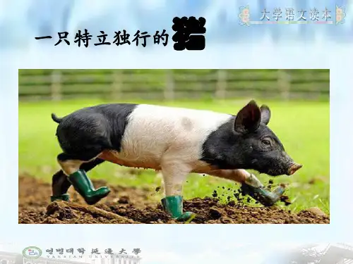 大学语文第二单元5：一只特立独行的猪
