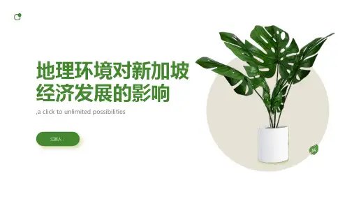 地理高中必修课件地理环境为新加坡经济发展提供了哪些条件