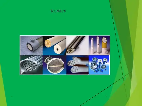 膜分离技术 概述和基本原理ppt课件