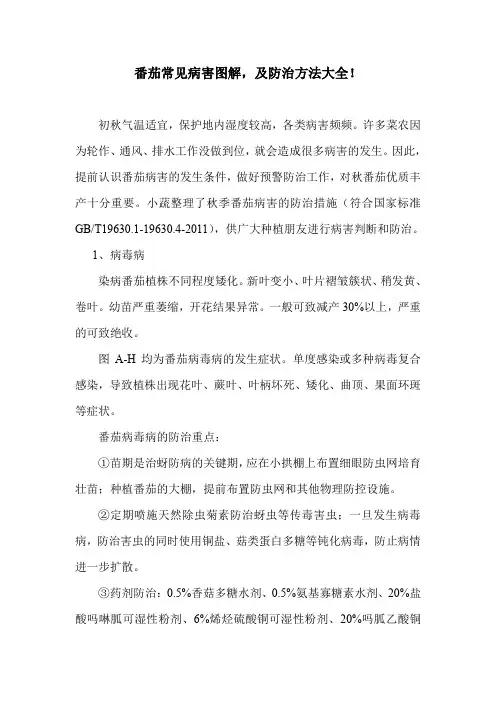 番茄常见病害图解,及防治方法大全!.doc