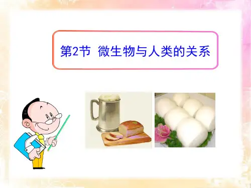 《微生物与人类的关系》PPT-北师大版八年级生物上册PPT课件