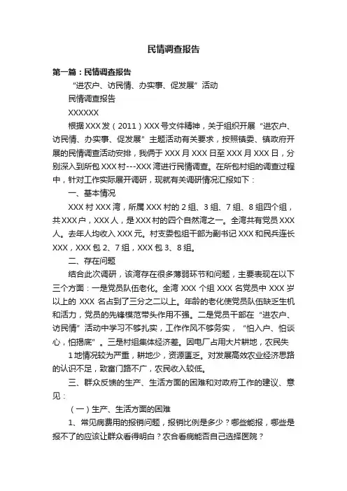 民情调查报告