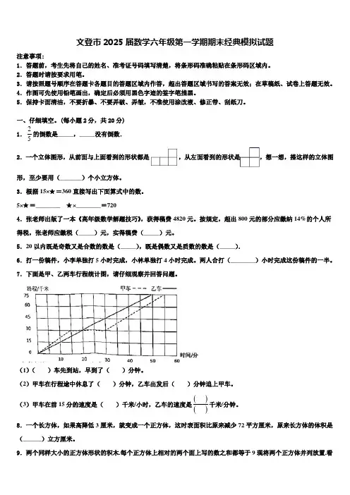 文登市2025届数学六年级第一学期期末经典模拟试题含解析