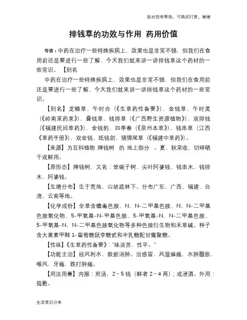 排钱草的功效与作用 药用价值
