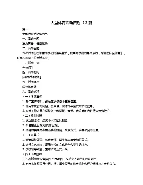 大型体育活动策划书3篇