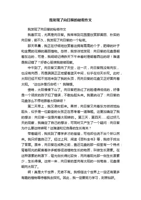 我发现了向日葵的秘密作文