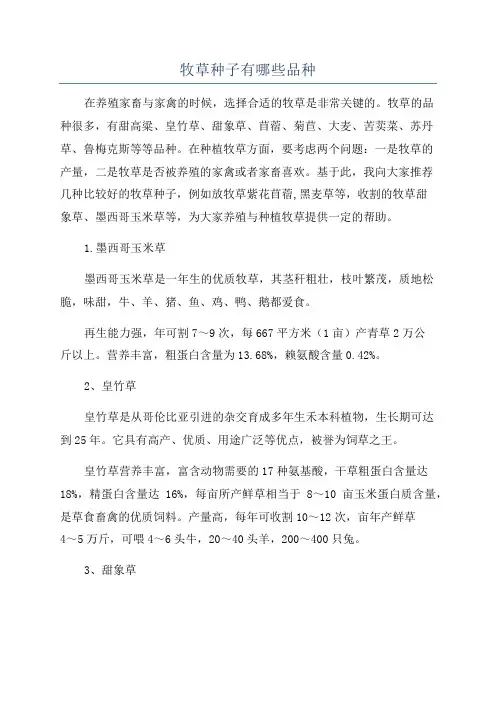 牧草种子有哪些品种
