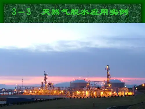 3-3  天然气脱水应用实例