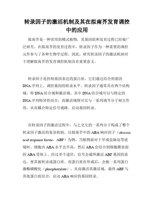 转录因子的激活机制及其在拟南芥发育调控中的应用