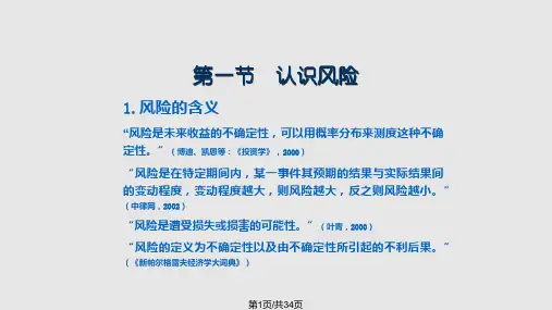 货币金融系金融风险PPT课件