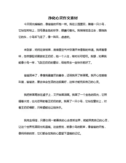 净化心灵作文素材