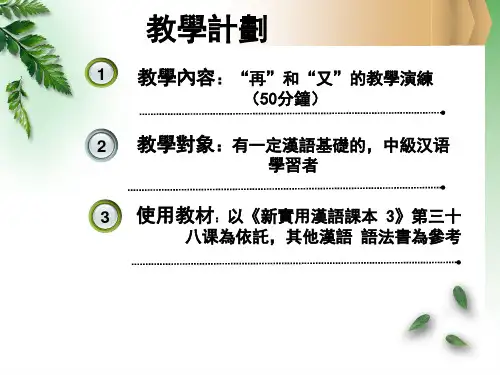 对外汉语说课ppt课件