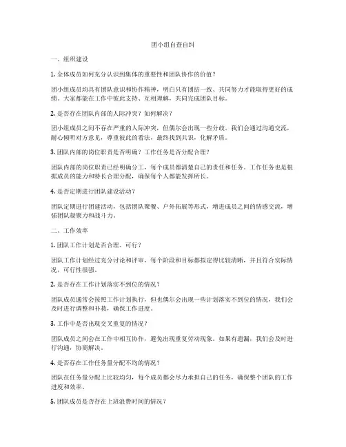 团小组自查自纠