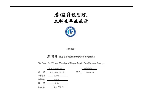 城市规划毕业设计
