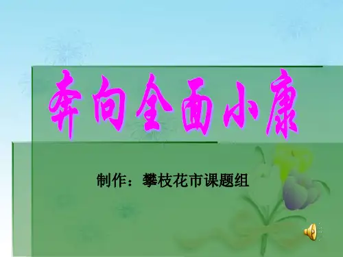奔向全面小康PPT课件