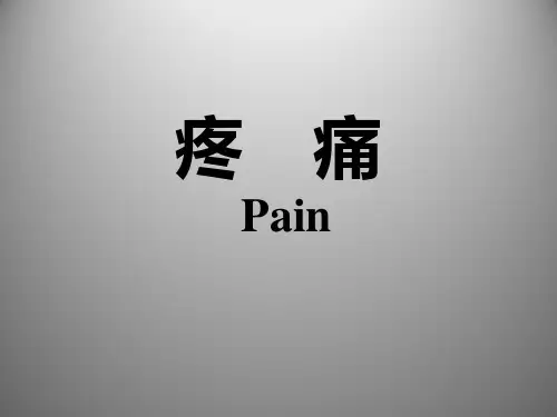 疼 痛 PPT课件