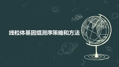 线粒体基因组测序策略和方法