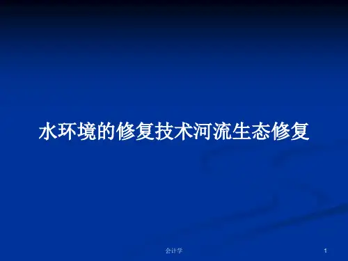 水环境的修复技术河流生态修复PPT学习教案