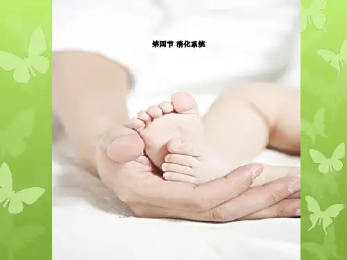 幼儿卫生与保健__消化系统