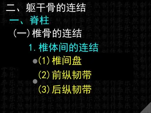 躯干颅骨连结PPT课件