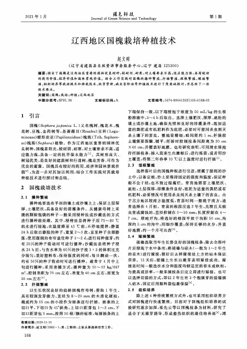 辽西地区国槐栽培种植技术