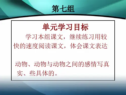 《老人与海鸥》实用版PPT课件