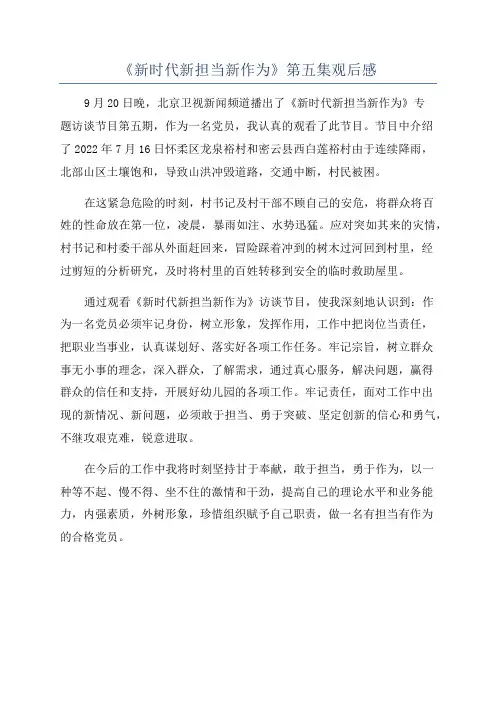 《新时代新担当新作为》第五集观后感