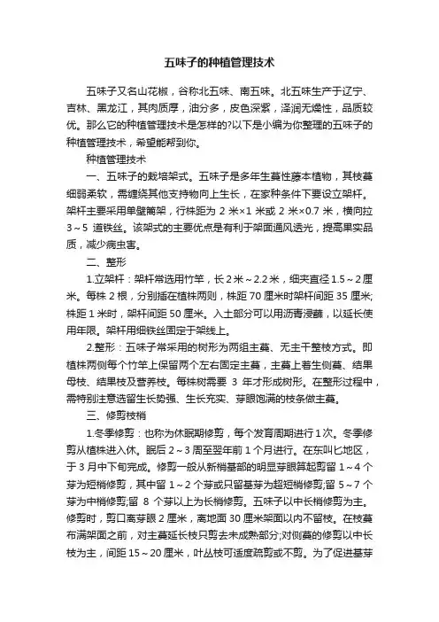 五味子的种植管理技术
