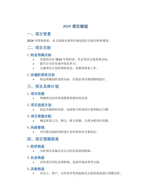 2024项目规划