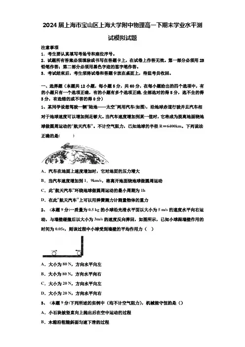 2024届上海市宝山区上海大学附中物理高一下期末学业水平测试模拟试题含解析